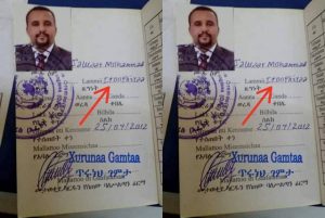 ዜግነትን መቀየር በተመለከተ አንዳንድ ነጥቦች